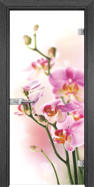 staklena-vrata-gama-print-g-13-2-g